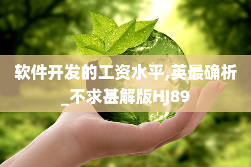软件开发的工资水平,英最确析_不求甚解版HJ89