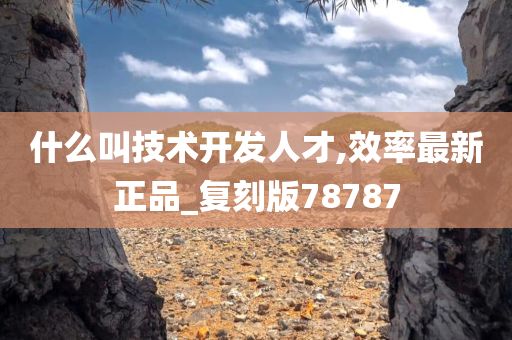 什么叫技术开发人才,效率最新正品_复刻版78787