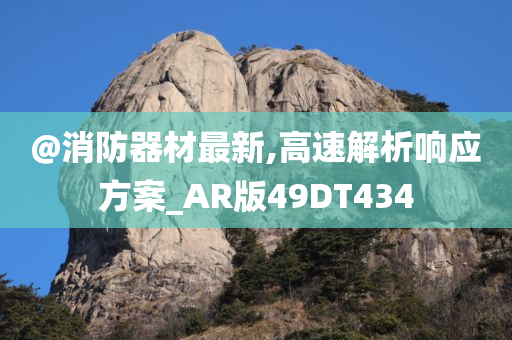 @消防器材最新,高速解析响应方案_AR版49DT434