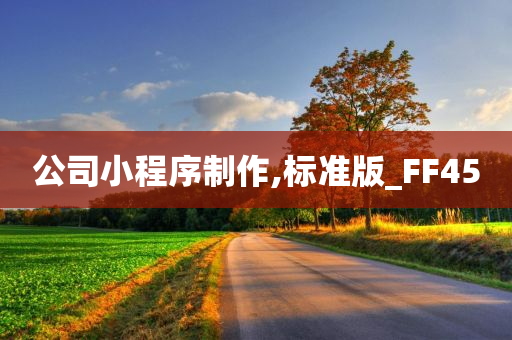 公司小程序制作,标准版_FF45