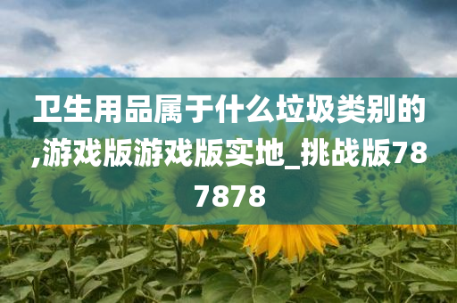 卫生用品属于什么垃圾类别的,游戏版游戏版实地_挑战版787878