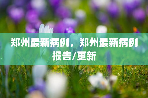 郑州最新病例，郑州最新病例报告/更新