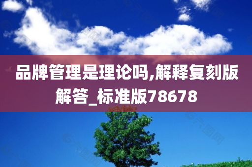 品牌管理是理论吗,解释复刻版解答_标准版78678