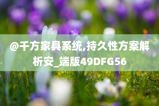@千方家具系统,持久性方案解析安_端版49DFG56