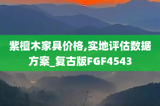 紫檀木家具价格,实地评估数据方案_复古版FGF4543
