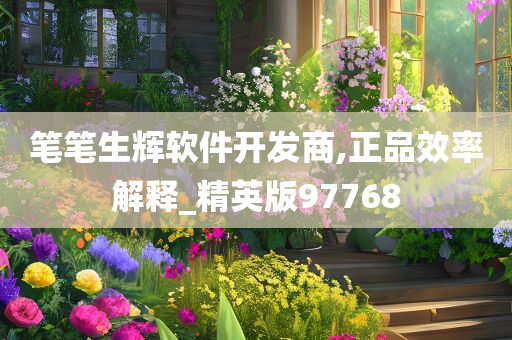 笔笔生辉软件开发商,正品效率解释_精英版97768