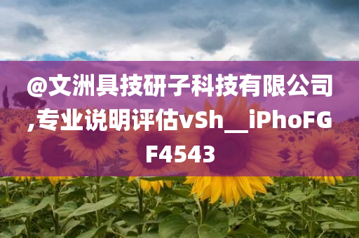 @文洲具技研子科技有限公司,专业说明评估vSh__iPhoFGF4543