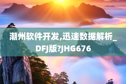 潮州软件开发,迅速数据解析_DFJ版?JHG676