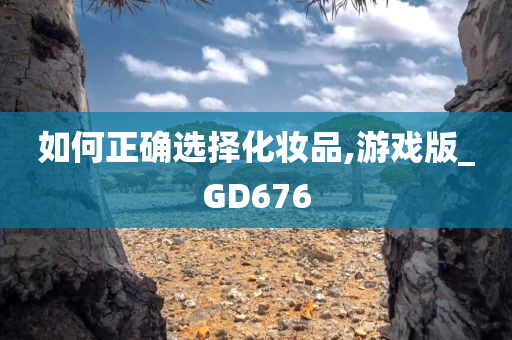 如何正确选择化妆品,游戏版_GD676