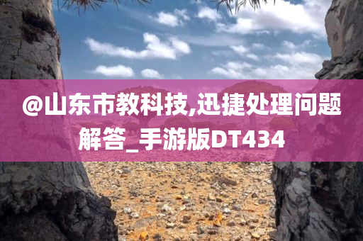 @山东市教科技,迅捷处理问题解答_手游版DT434