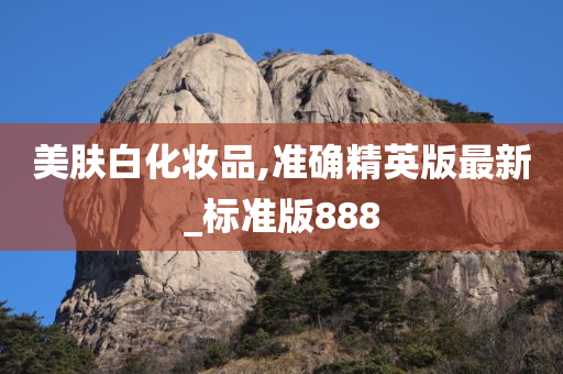 美肤白化妆品,准确精英版最新_标准版888