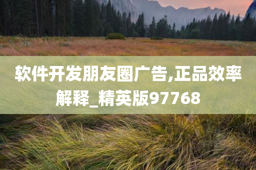软件开发朋友圈广告,正品效率解释_精英版97768