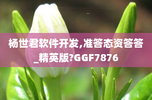 杨世君软件开发,准答态资答答_精英版?GGF7876