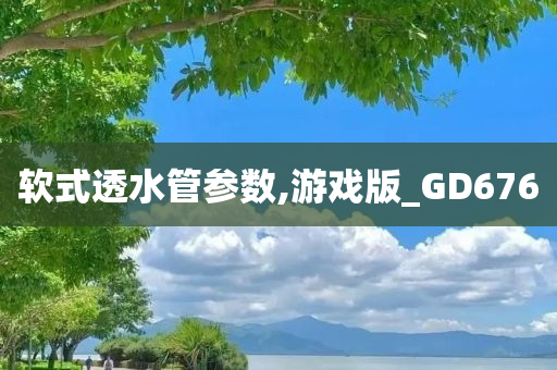 软式透水管参数,游戏版_GD676