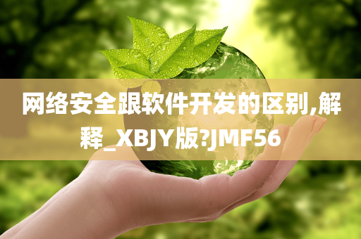 网络安全跟软件开发的区别,解释_XBJY版?JMF56
