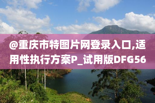 @重庆市特图片网登录入口,适用性执行方案P_试用版DFG56