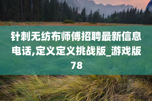 针刺无纺布师傅招聘最新信息电话,定义定义挑战版_游戏版78