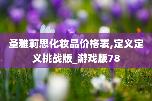 圣雅莉思化妆品价格表,定义定义挑战版_游戏版78