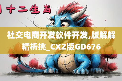 社交电商开发软件开发,版解解精析挑_CXZ版GD676