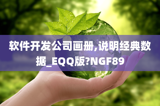 软件开发公司画册,说明经典数据_EQQ版?NGF89