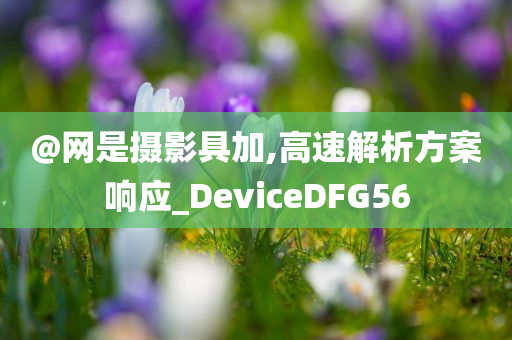 @网是摄影具加,高速解析方案响应_DeviceDFG56