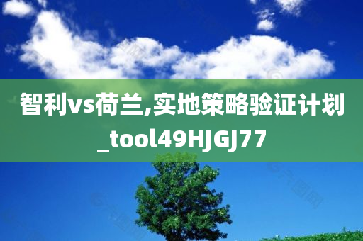 智利vs荷兰,实地策略验证计划_tool49HJGJ77