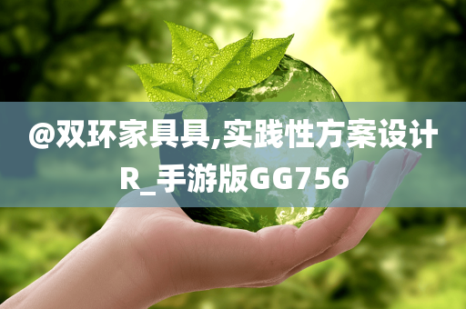 @双环家具具,实践性方案设计R_手游版GG756