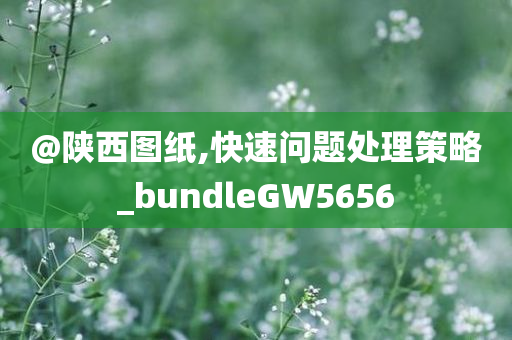 liziping 第117页