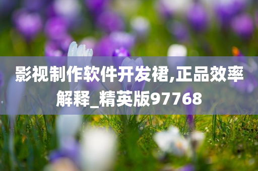影视制作软件开发裙,正品效率解释_精英版97768