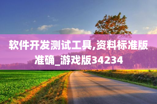 软件开发测试工具,资料标准版准确_游戏版34234