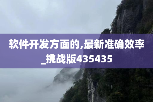 软件开发方面的,最新准确效率_挑战版435435
