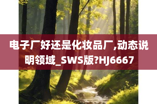 电子厂好还是化妆品厂,动态说明领域_SWS版?HJ6667