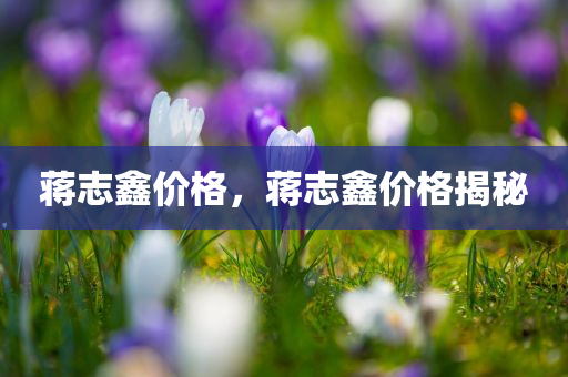 蒋志鑫价格，蒋志鑫价格揭秘