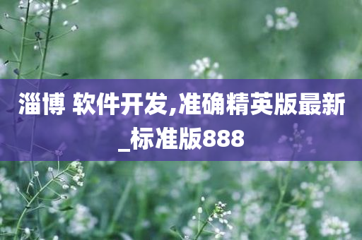 淄博 软件开发,准确精英版最新_标准版888