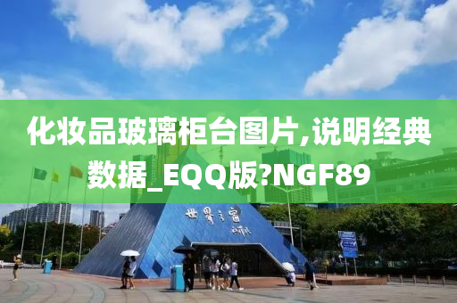化妆品玻璃柜台图片,说明经典数据_EQQ版?NGF89