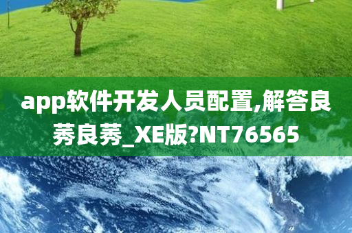 软件开发 第4页