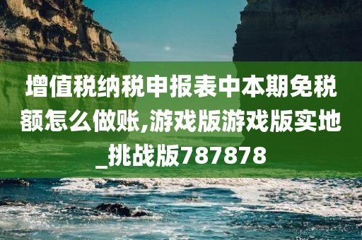 增值税纳税申报表中本期免税额怎么做账,游戏版游戏版实地_挑战版787878