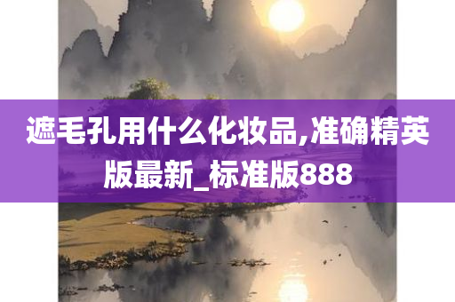 遮毛孔用什么化妆品,准确精英版最新_标准版888