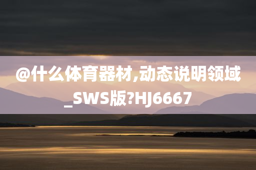 @什么体育器材,动态说明领域_SWS版?HJ6667