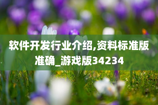 软件开发行业介绍,资料标准版准确_游戏版34234