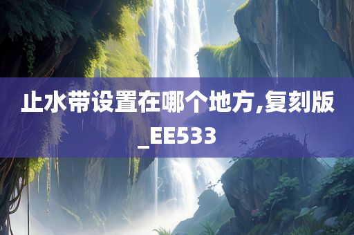 止水带设置在哪个地方,复刻版_EE533