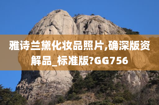雅诗兰黛化妆品照片,确深版资解品_标准版?GG756