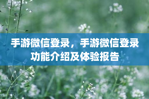 手游微信登录，手游微信登录功能介绍及体验报告