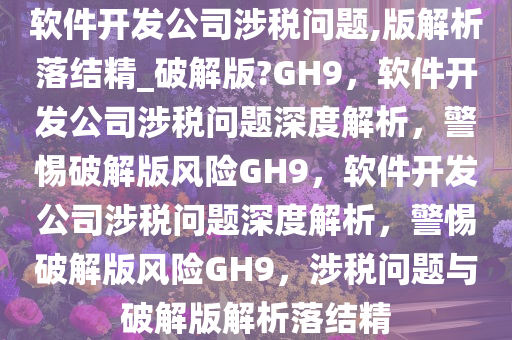 软件开发公司涉税问题,版解析落结精_破解版?GH9，软件开发公司涉税问题深度解析，警惕破解版风险GH9，软件开发公司涉税问题深度解析，警惕破解版风险GH9，涉税问题与破解版解析落结精