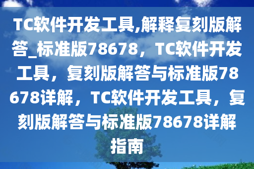 TC软件开发工具,解释复刻版解答_标准版78678，TC软件开发工具，复刻版解答与标准版78678详解，TC软件开发工具，复刻版解答与标准版78678详解指南