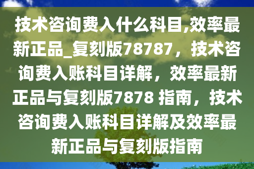 技术咨询费入什么科目,效率最新正品_复刻版78787，技术咨询费入账科目详解，效率最新正品与复刻版7878 指南，技术咨询费入账科目详解及效率最新正品与复刻版指南