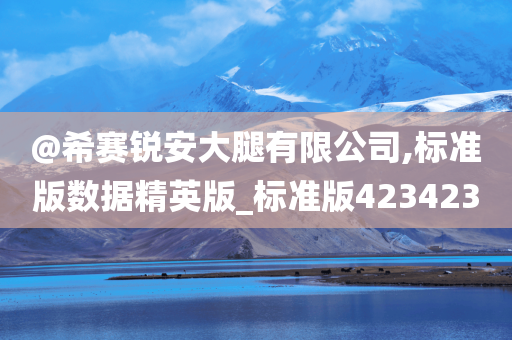 @希赛锐安大腿有限公司,标准版数据精英版_标准版423423