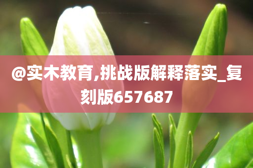 @实木教育,挑战版解释落实_复刻版657687