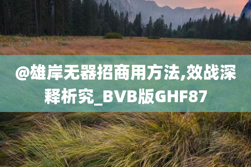 @雄岸无器招商用方法,效战深释析究_BVB版GHF87