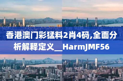 香港澳门彩猛料2肖4码,全面分析解释定义__HarmJMF56